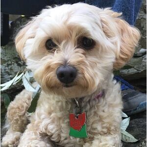 Meet your Posher, Kristin